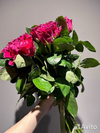 Букет из роз,розы 25шт, 51шт, 101шт