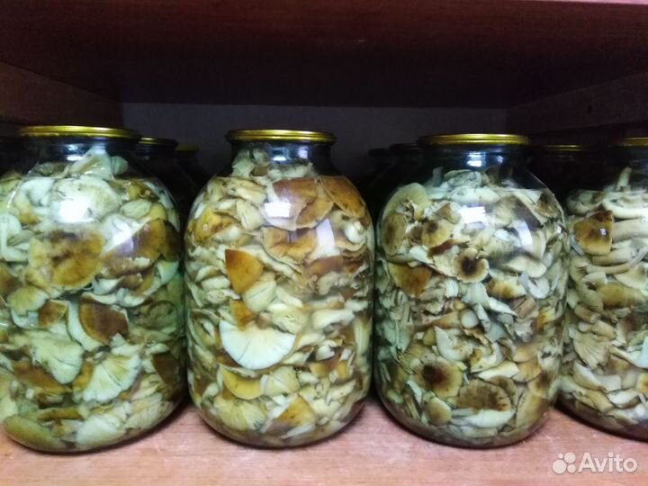 Грибы. Опята маринованые