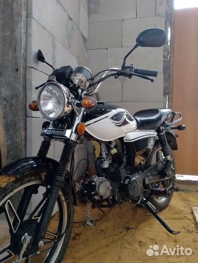 Alpha rx 110