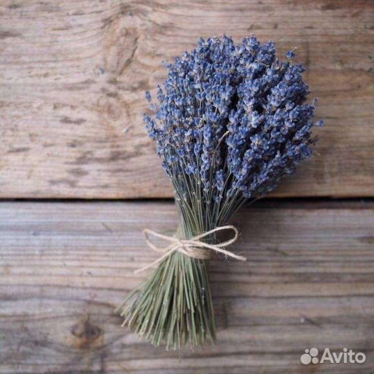 Букет лаванды