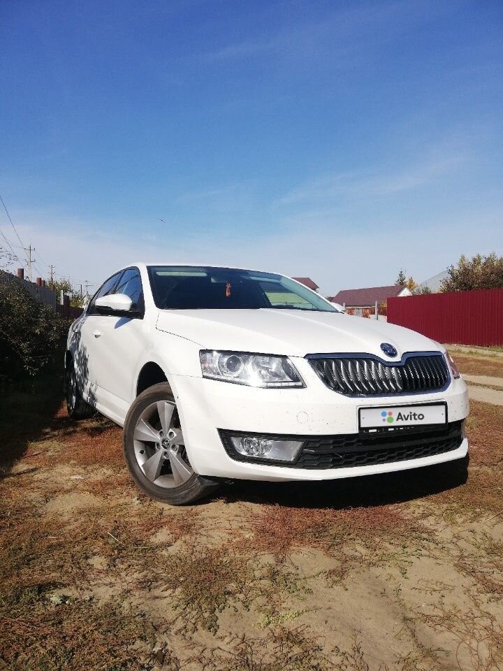 Skoda Octavia: фото владельца