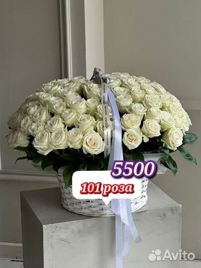 101 роза 5500