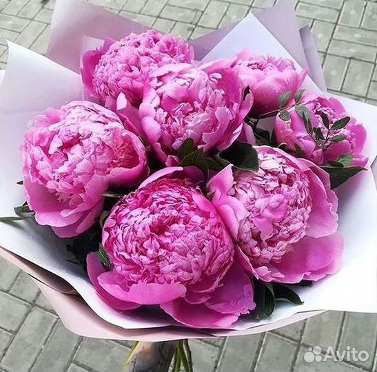 Пионы Букеты Цветы Доставка