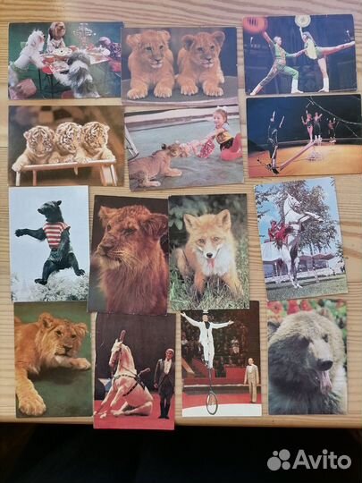 Цирк,Ленинград, Мультяшки