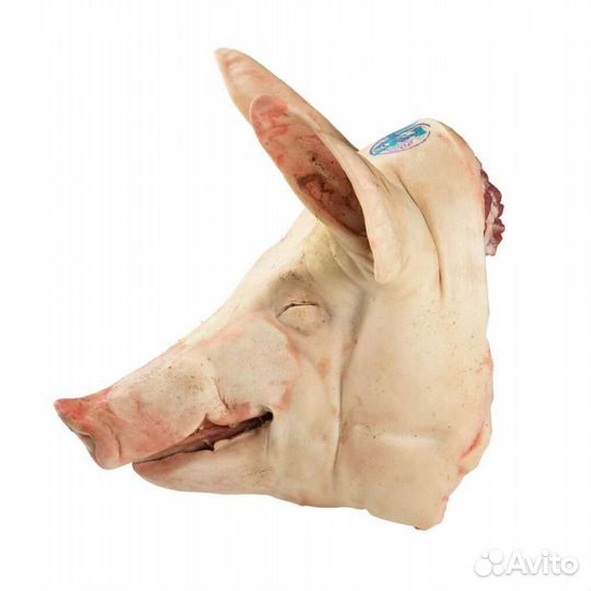 Свиная голова