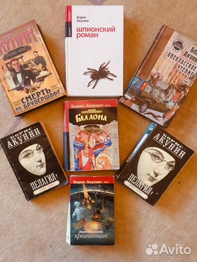 Книги Акунин Борис