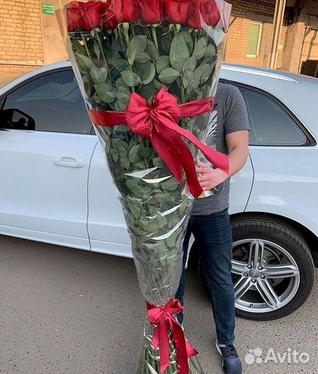 Высокие розы