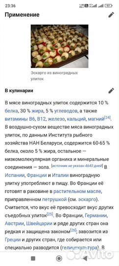 Улитка
