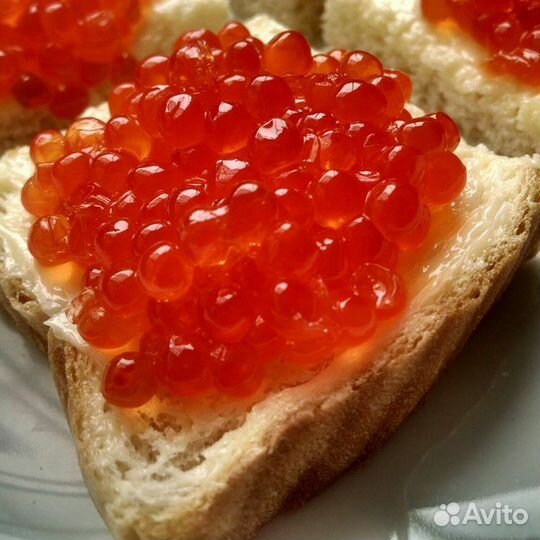 Красная икра горбуши