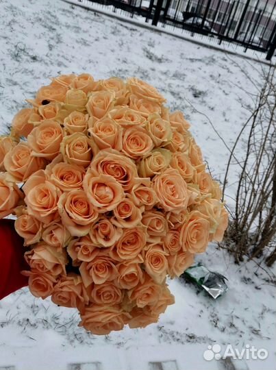 Розы, букет цветов