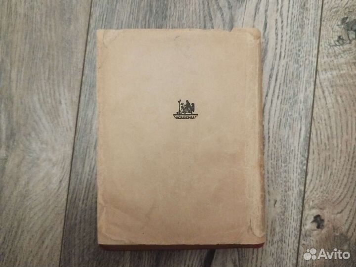 Academia. Воспоминания и письма П.А.Стрепетова