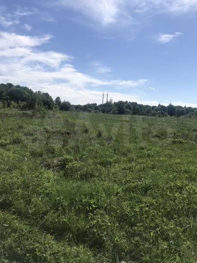 Участок 4 га (ИЖС)