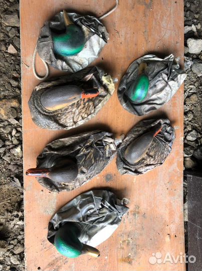 Чучела гусей и уток