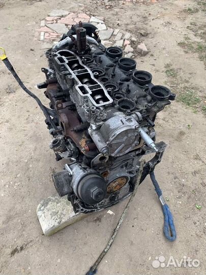 Мотор форд с мах 1.6 tdci