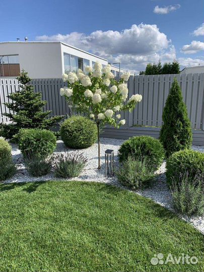 Ландшафтный дизайн участка