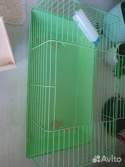 Клетка для морской свинки