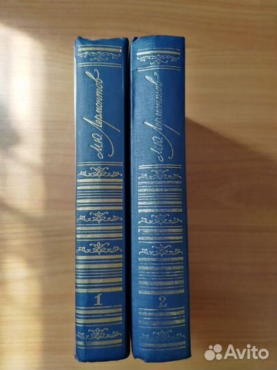 Лермонтов собрание сочинений в 2 т