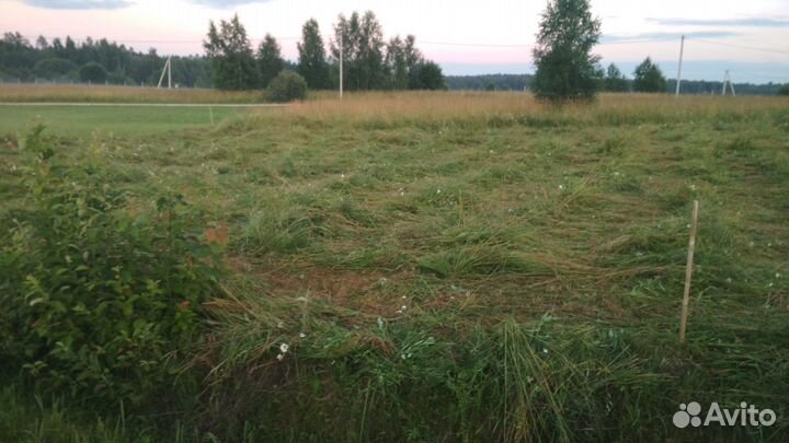 Покос травы, уборка территории