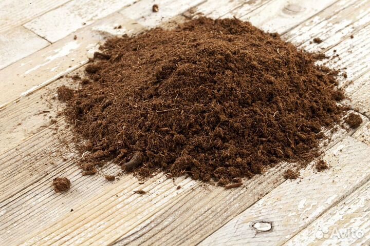 Торф низинный