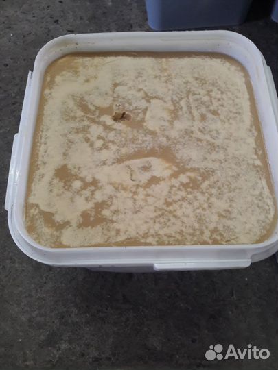 Алтайский мед