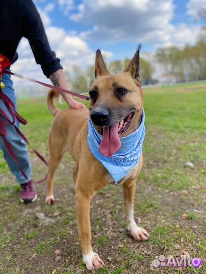 Замечательная девочка нуждается в своей человеке