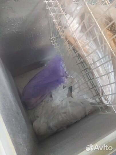 Холодильный ларь б/у