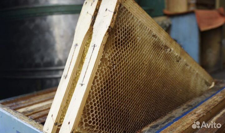 Пчеловодная сушь рамки