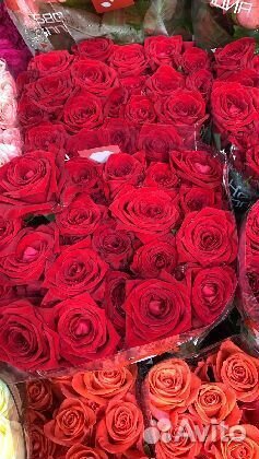 Розы роза букет роз 101 роза доставка цветов