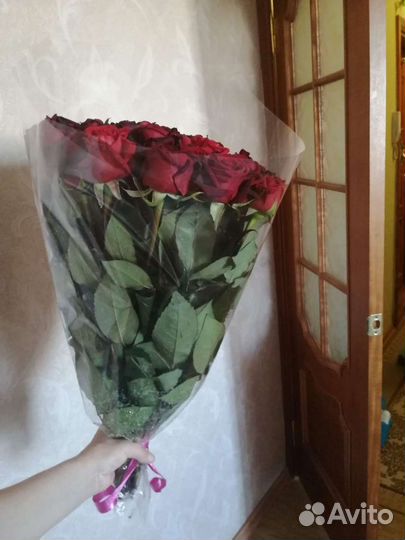 Розы домашние Курские