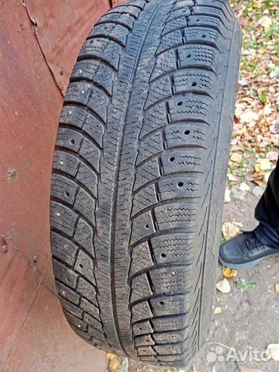 Gislaved Euro Frost 6 225/70 R16 и 225/70 R16 103G