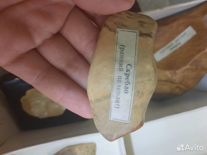 Муляжи древних останков