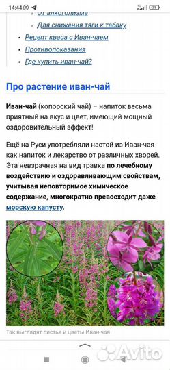 Продам Иван чай