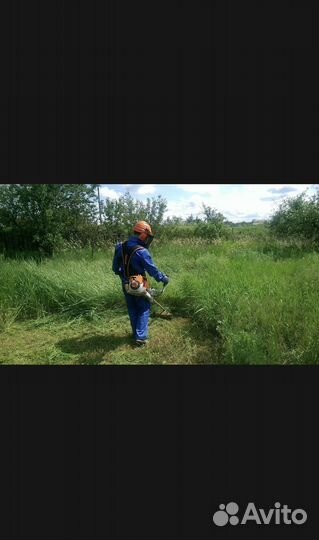 Услуги покос травы