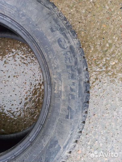 Formula Ice 195/65 R15