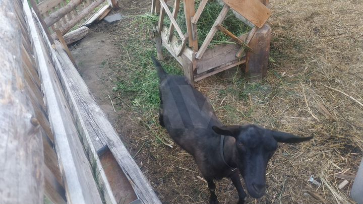 Дом 47,9 м² на участке 13 сот.