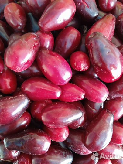 Варенье из лепестков чайной розы и другиеОтправляю