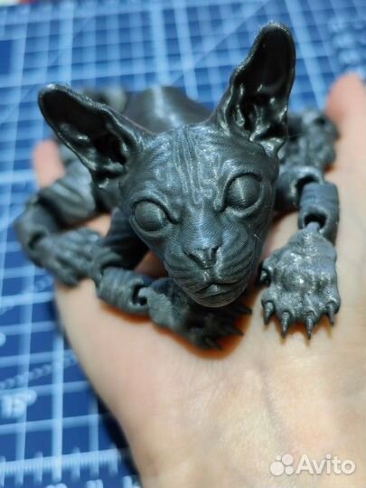 Канадский сфинкс подвижный кот