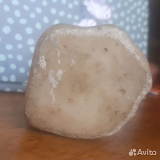 Кот и голуби