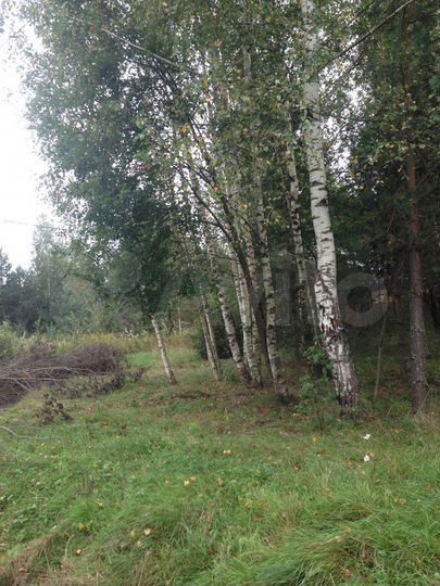 Участок 24 сот. (СНТ, ДНП)