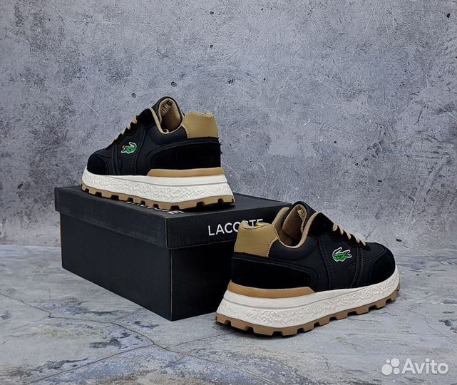 Мужская Кроссовки lacoste