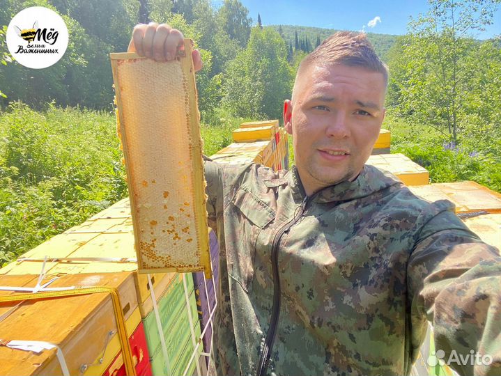 Мёд горный, липовый, гречишный. Урожай 2023