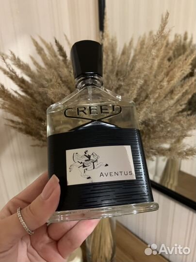 Creed aventus