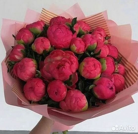 Пионы Букет пионов