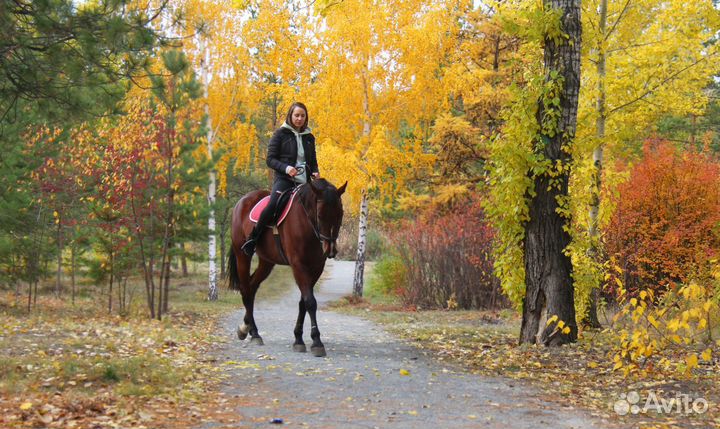 Конные прогулки