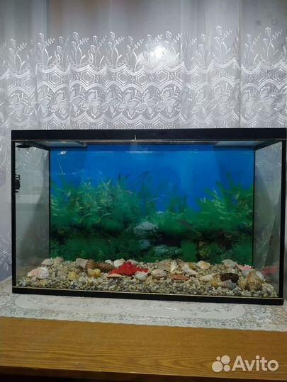 Аквариум