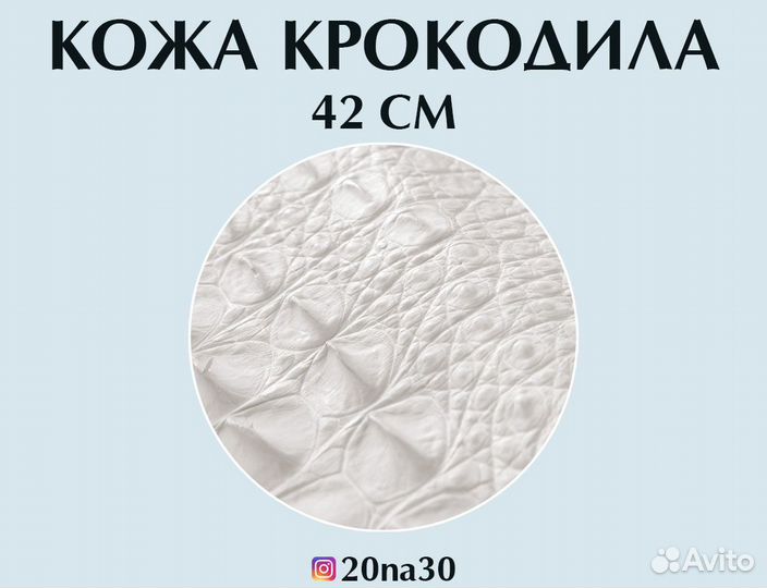 Кожа крокодила краст 42 см в наличии