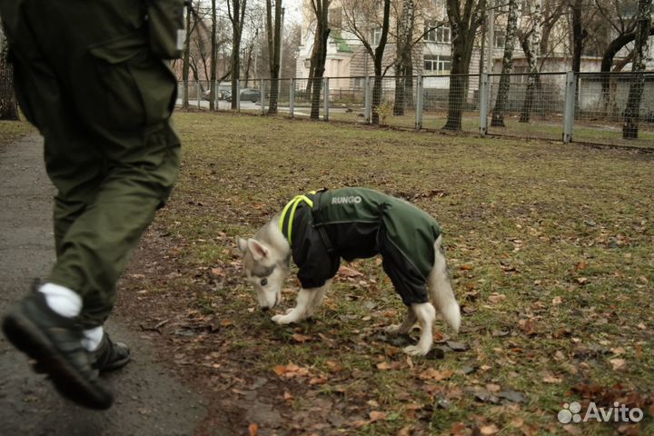 Комбинезон для собаки на флисе