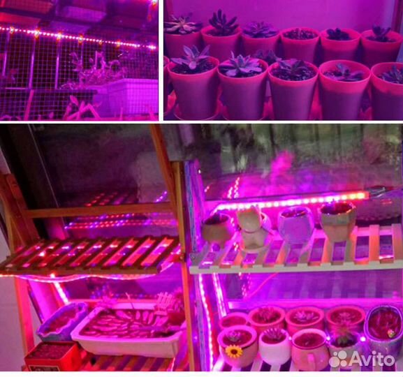 Розовая фито-лента Огонёк USB (0.5м, IP65)