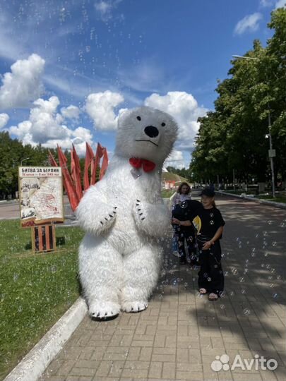 Белый мишка Поздравление Ростовой медведь