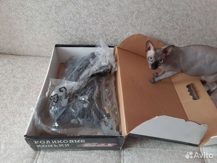 Ролики 37 размер Torsion Max